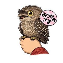 RYUSUKE_20260514022857