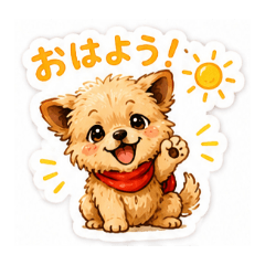 toypoolucy_20260514042151