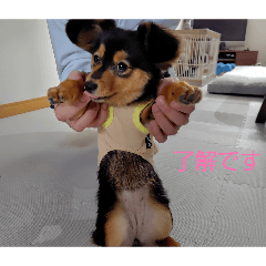 Yumi1123_20260514080430