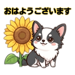 chocotto_20260514075625