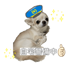 maluco_20260514080802
