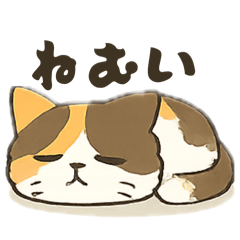 hiyorine_20260514080319