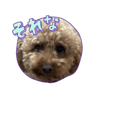 Kido_20260514080655