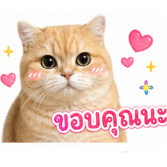 martin_20260502090818