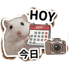 Hamon2_20260503081750