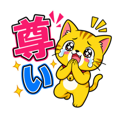 Hype Cat: Slang & Social Media Vibes