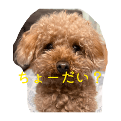 MOMOchan_20260503212932