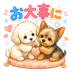Maltipoo & Yorkie Gentle Replies