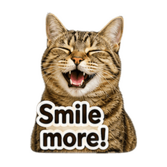 Daily Use Meru Stickers 4