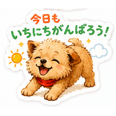 toypoolucy_20260514043855