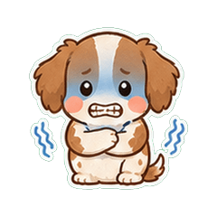 布列塔尼犬奶油色鹽系 1