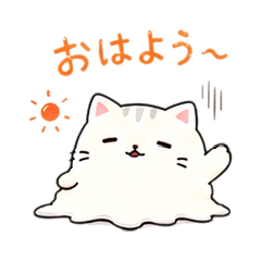 konto_20260514053226