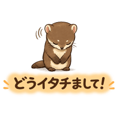 AKKO_20260514090913