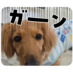 rikarin_20260514090056