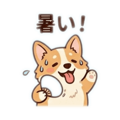 Yukie_20260514091425