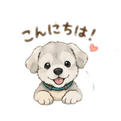 Susu_20260514093241