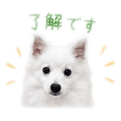 KUMA_20260514061417