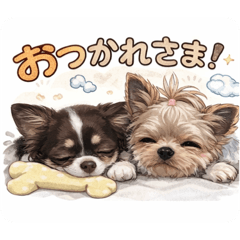 Noel_20260514093710