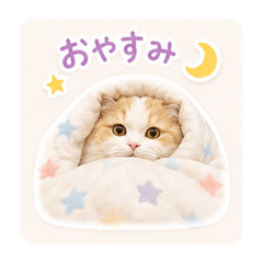 tomomi_20260514093959