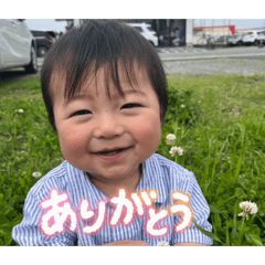 donpen_20260514094447