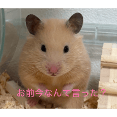 Danon_20260514095530