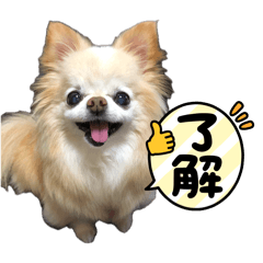 ANZU_20260514134452