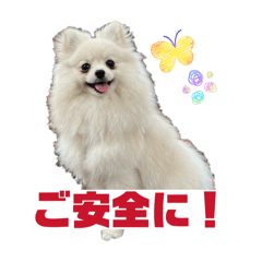ppyong14_20260514134828