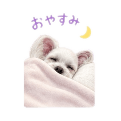 ISEKI_20260514134949