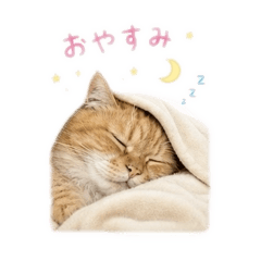 ISEKI_20260514135603