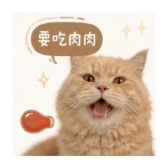 寶貝麻吉吉
