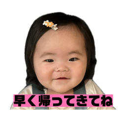 amu_20260514065630
