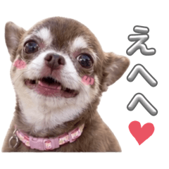saki_20260514064954