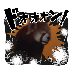 kawaiianimrsstanpu