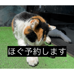 shinichi_20260514140401