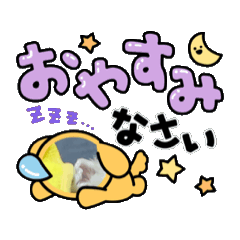 RENKA_20260517162413