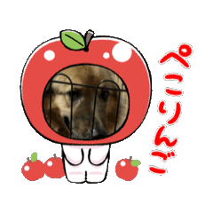 takosann_20260517201711