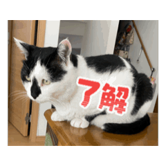 yusaku_20260517201442