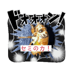 Zeke warrior_20260517195113