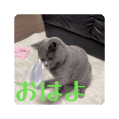 mamamon_20260518003240
