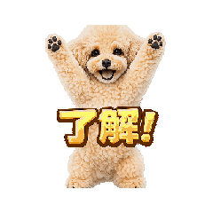 fujiyan8_20260518044421