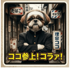 Coco's Showa Rebel Legend