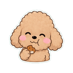 貴賓犬奶油色鹽系 1