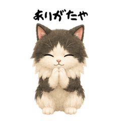 Daily Life of Fluffy Cat "Noru"