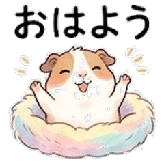 Fluffy Guinea Pig - 24 Healing Words