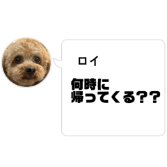 OnaMi_20260514111917