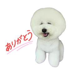 ik_20260514112134