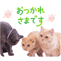mami_2026051411172
