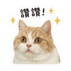 仙仙ㄦ-