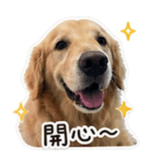 金光閃閃