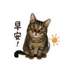 嚕比喵